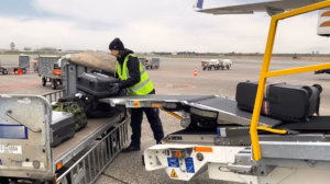 Airport ground handling staff working with a tail loader